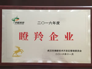 武汉人生就是博-尊龙凯时光电入选光谷2016年“瞪羚企业”